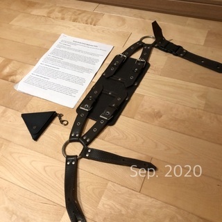 弦楽器 ハーディガーディ（専用ベルト、ケース、説明書付き）