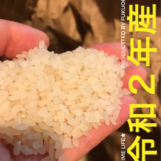 【令和２年産！新米】ゆめつくし★10キロ