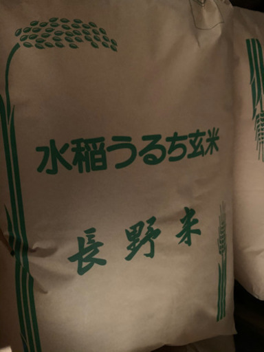 令和元年産コシヒカリ