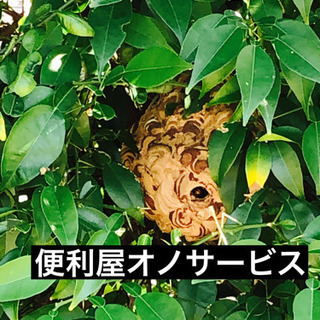 愛知県全域のハチ、ヘビ、コウモリ、ゴキブリ駆除 - みよし市