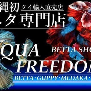 熱帯魚ベタ　Aqua freedom