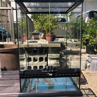 グラステラリウム3045 りんちゃん 長久手のその他の中古あげます 譲ります ジモティーで不用品の処分