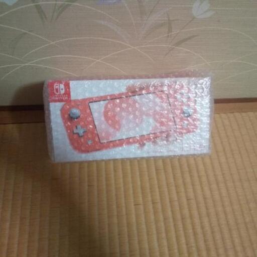 その他 Nintendo Switch light