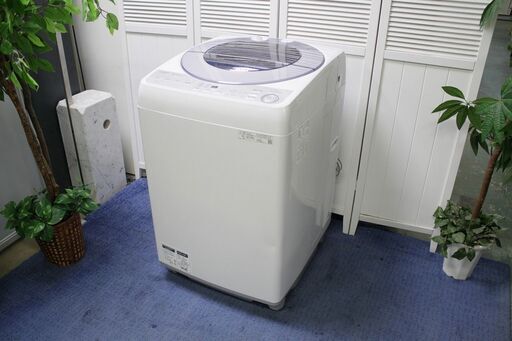 R2038) SHARP シャープ　全自動洗濯機　洗濯容量8.0kg 2019年製! 洗濯機 店頭取引大歓迎♪