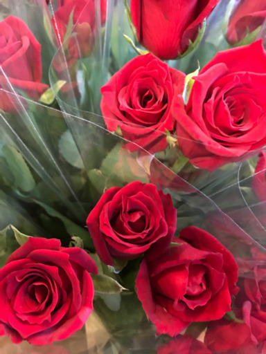 新鮮 バラ サムライ1本110円 あそこのみっちゃん 荏原町のその他の中古あげます 譲ります ジモティーで不用品の処分