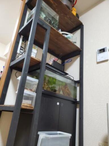 水槽 水槽台 コンテナ めだか 商談中 みーちゃん 旭前のその他の中古あげます 譲ります ジモティーで不用品の処分