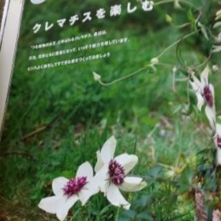 ステキなお庭を作りましょう つる植物のガーデニング 仕立て方 楽しみ方 クレマチス つるバラなど ケイバア 土崎のその他の中古あげます 譲ります ジモティーで不用品の処分 ステキなお庭を作りましょう つる植物のガーデニング 仕立て方 楽しみ方 クレマチス つるバラなど ケイバア 土崎のその他の中古あげます 譲ります ジモティーで不用品の処分