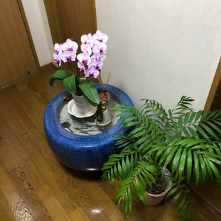 火鉢 引き取り限定 【公式通販】