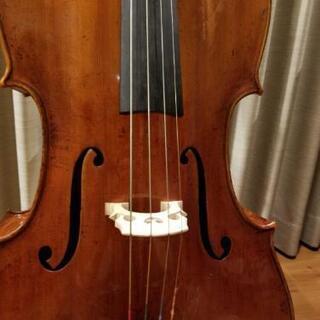 楽器コレクション③】1923年 Giuseppe Fiorini 刻印 チェロ