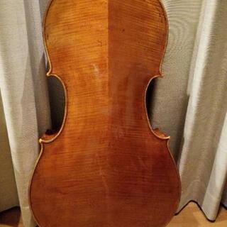 楽器コレクション③】1923年 Giuseppe Fiorini 刻印 チェロ