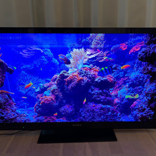 取りに来ていただける方限定】Sony 液晶テレビ KDL-40HX720 - sogorn