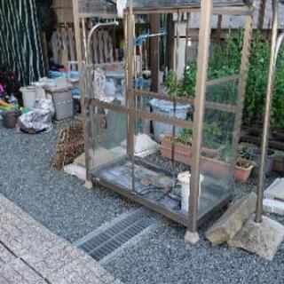 温室、引き取りにきてくれる方差し上げます。