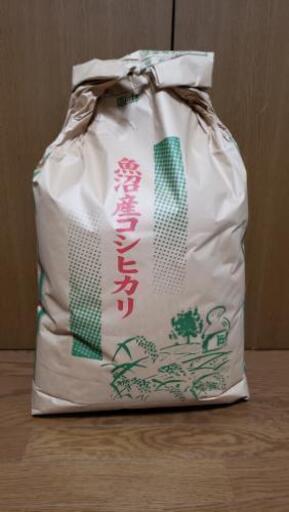 【魚沼産コシヒカリ】30kg 精米済み
