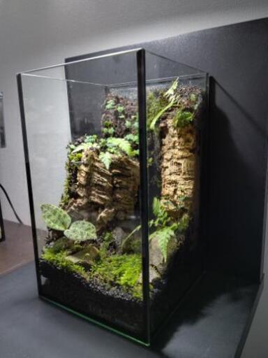 パルダリウム (ラファ) 東松江のその他の中古あげます・譲ります