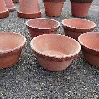 小型植木鉢 6号 藤十郎 長岡の家庭用品 ガーデニング の中古あげます 譲ります ジモティーで不用品の処分