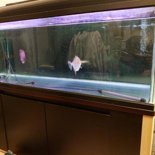 1200水槽セット