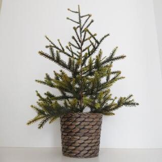 IKEAクリスマスツリー