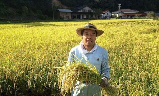 まとめてお得！ 令和元年 島根県産コシヒカリ100％ 奥出雲 玄米30kg×3 