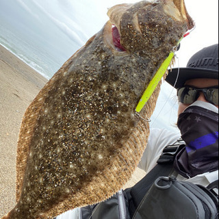 愛知県、遠州灘、三重釣り仲間募集　