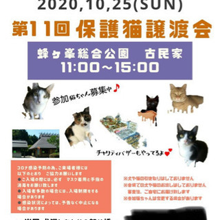 第１１回保護猫譲渡会in山口県