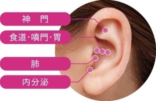 コロナ太りも すっきり 耳つぼダイエット施術モデル募集 健康おじさん さいたまのキャンペーンのイベント参加者募集 無料掲載の掲示板 ジモティー