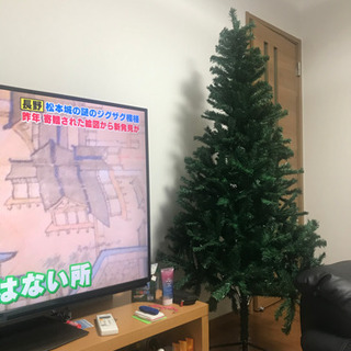 クリスマスツリー(未使用)