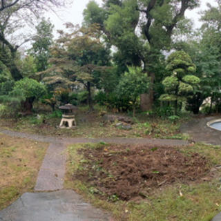 渋谷区　庭の手入れ　雑草除去を手伝っていただけませんか？