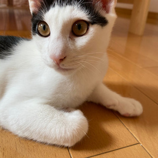 4月1日生まれ元気な男の子です！