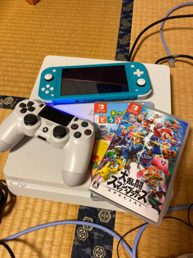 PS 4とSwitchライトです。