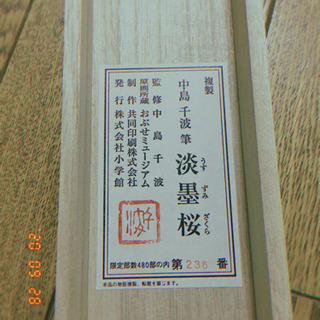 中島千波  淡墨桜