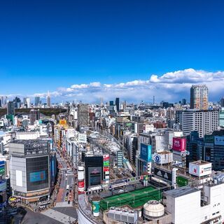 一般事務（英会話できる方歓迎）の画像