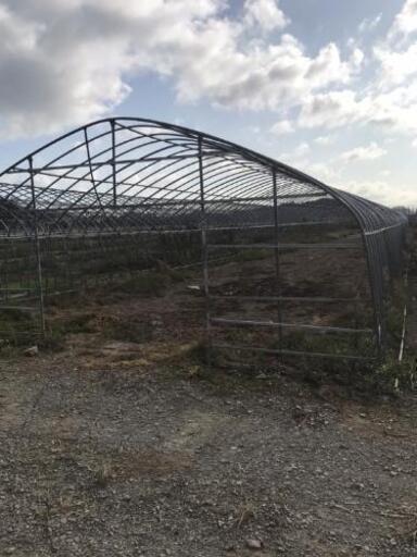 ビニールハウス 解体済 骨組み 間口約6m 奥行約47m