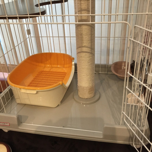 未使用猫飼育スターターセット組立済みケージトイレ他4点 レノレノ 柏のその他の中古あげます 譲ります ジモティーで不用品の処分 未使用猫飼育スターターセット組立済みケージトイレ他4点 レノレノ 柏のその他の中古あげます 譲ります ジモティーで不用品の処分