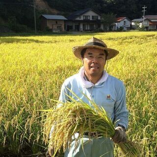 令和2年産　島根県コシヒカリ100％　農家直仕入れ　玄米30kg
