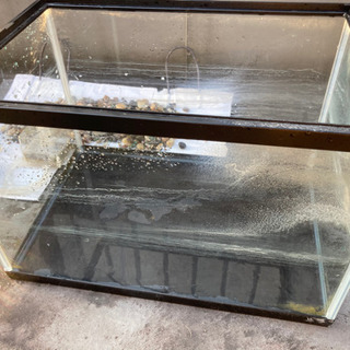 水槽　ガラスケース　飼育セット
