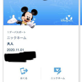 11月1日(日)ディズニーシー　一緒に行ってくれる方募集します(...