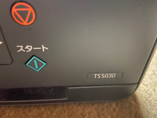 Canon プリンター TS5030 | gellertamayolaw.com
