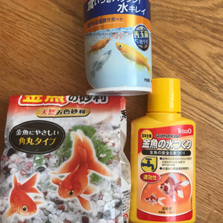 ★メダカ・金魚など飼育セット★