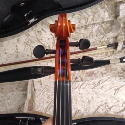 弦替え済み】4/4バイオリン【ケース、弓付】 | alviar.dz