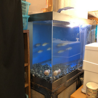 中古大型水槽 家具が無料 格安で買える ジモティー