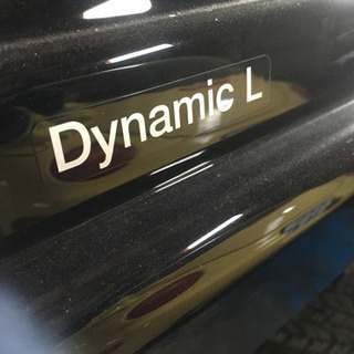 Thule ルーフボックス　スーリー 