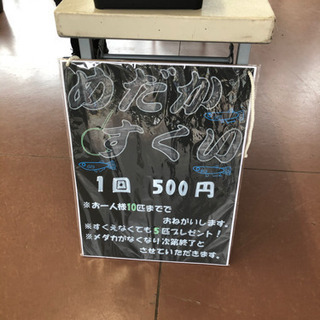 本日9時から16時までなくなり次第終了します