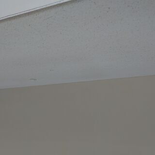 3/7販売済！ニトリ｜SWIFT｜スライド扉キッチンボード