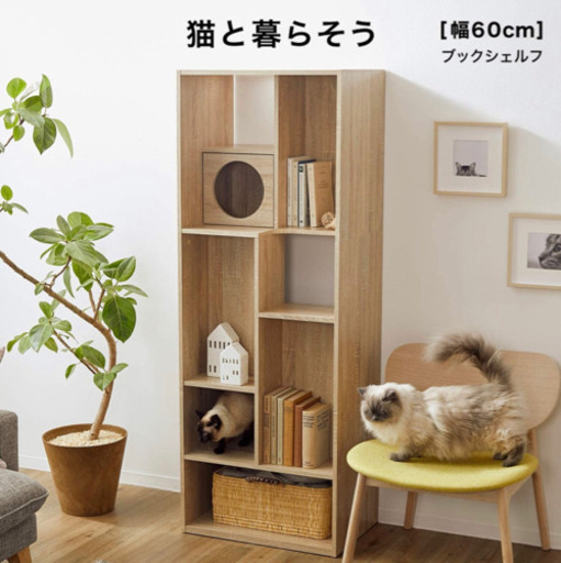 美品 LOWYA キャットタワー キャットシェルフ