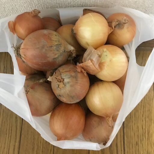 詰め放題 野菜の福袋 小玉たまねぎ編 無くなり次第終了 岡本悟志 札幌のその他の無料広告 無料掲載の掲示板 ジモティー