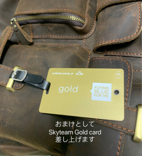 革リュックバッグ 航空連盟スカイチームGOLDカード付-通勤通学 カジュアル