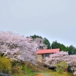 40代 毎月、週末ゆるゆる山歩きハイキング