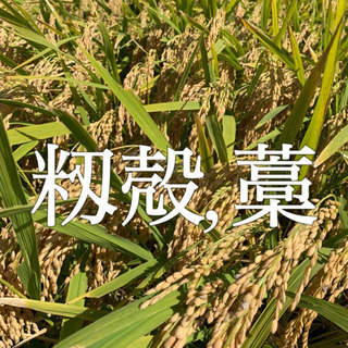 お米の収穫.精米に出た　籾殻,藁,米糠　余っている方