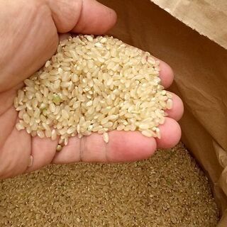 令和2年産  新米  出来上がりました  綺麗な水で育てたお米食べてみて下さい。 令和2年産 新米 出来上がりました 綺麗な水で育てたお米