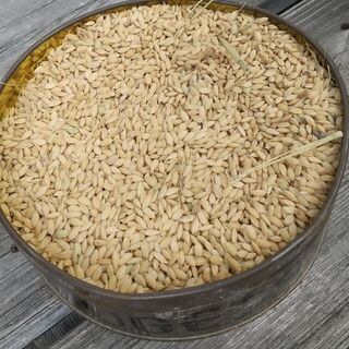 令和2年産  新米  出来上がりました  綺麗な水で育てたお米食べてみて下さい。 令和2年産 新米 出来上がりました 綺麗な水で育てたお米